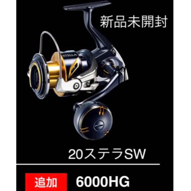 20ステラSW 6000HG シマノ 新品未使用品 ジギング 全ての リール ...