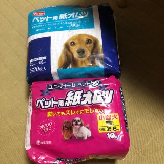 ユニチャーム(Unicharm)のペット用オムツ　イヌ用(犬)