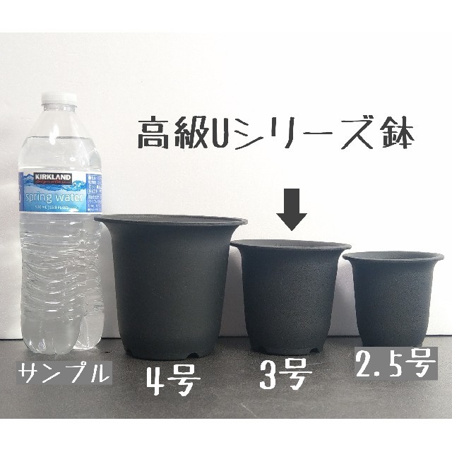 【Ｕ-30】◎5個◎ 高級 プラ鉢 3号 U-30 硬質 丸鉢 黒 ハンドメイドのフラワー/ガーデン(その他)の商品写真