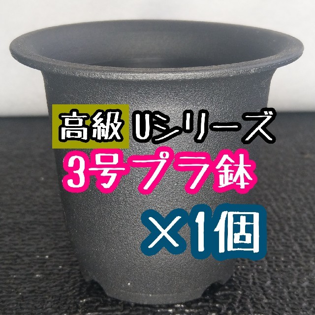 u 30 1個 高級 プラ鉢 3号 U 30 硬質 丸鉢 黒の通販 By Plants Bomb ラクマ u 30 1個 高級 プラ鉢 3号 U 30 硬質 丸鉢 黒の通販 By Plants Bomb ラクマ