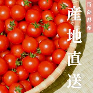 ミニトマト 1kg  [農学博士のDr.トマト] 採れたて☘️産地直送いたします(野菜)