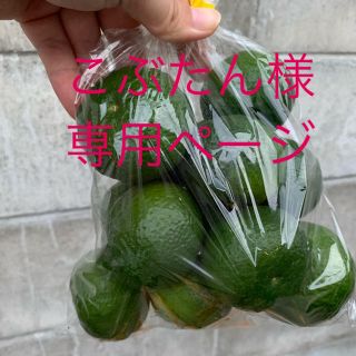 こぶたん様専用ページです(フルーツ)