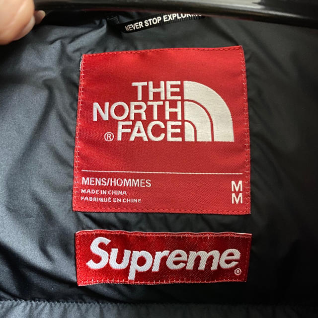 supreme×the north face nuptse leaves 枯葉