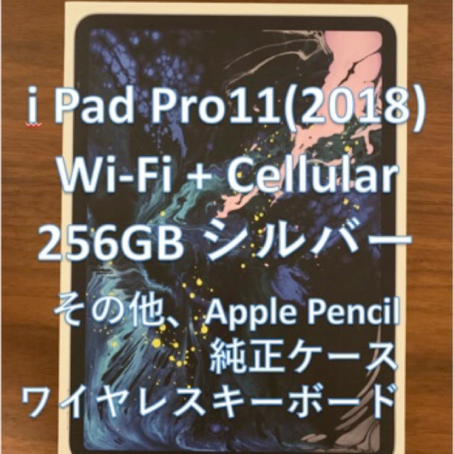 apple【値下げ。ペン・ケース付き】11インチiPad Pro セルラー256GB