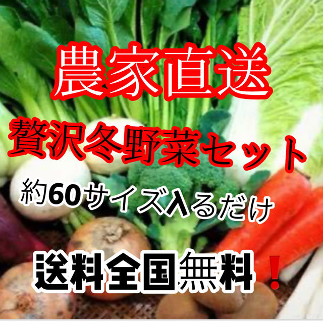 農家直送たっぷり冬野菜詰め合わせ約60サイズ入るだけ送料無料‼️ 食品/飲料/酒の食品(野菜)の商品写真