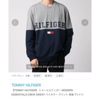 トミーヒルフィガー(TOMMY HILFIGER)のトミーヒルフィガー　トップス　値下げ(ニット/セーター)