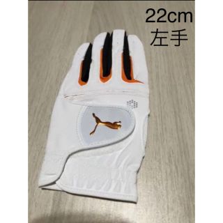 プーマ(PUMA)のゴルフグローブ　メンズ22cm 　左手(その他)