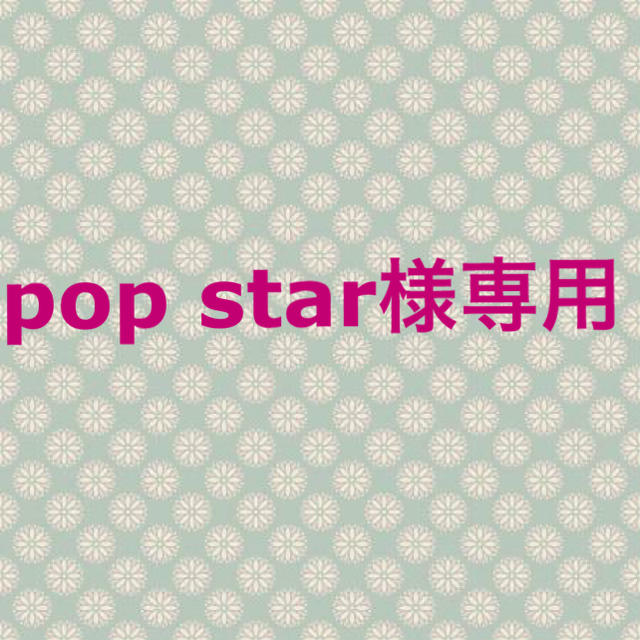 pop star様専用 その他のペット用品(猫)の商品写真