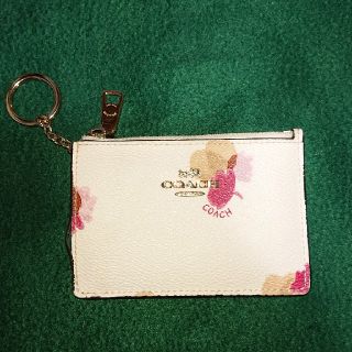 コーチ(COACH)の COACH コーチ のパスケース オフホワイト系‼️(パスケース/IDカードホルダー)