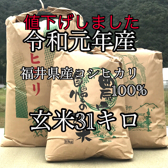 福井県産　令和元年　古米　30kg　コシヒカリ　米/穀物