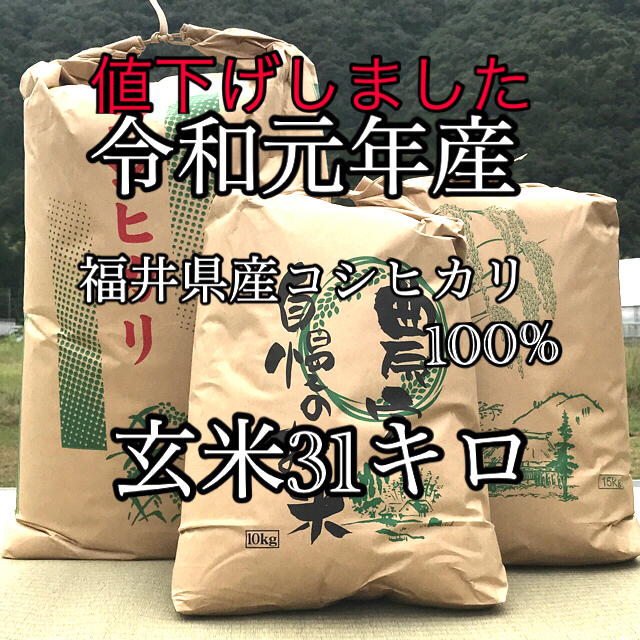 令和元年産　コシヒカリ　福井県産　玄米31キロ