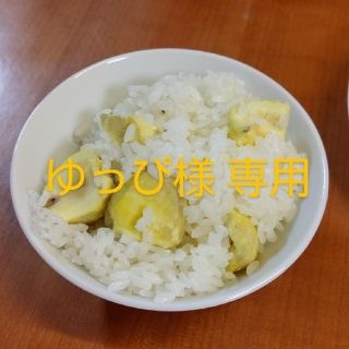 ゆっぴ様 専用②(その他)