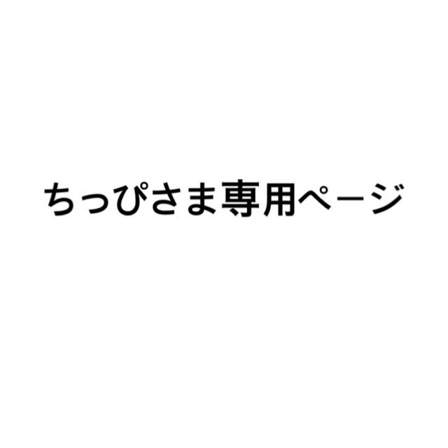 ちっぴさま専用ページ