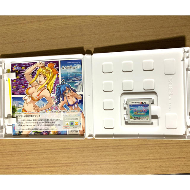 ニンテンドー3DS - パチパラ3D デラックス海物語～パチプロ風雲録・花