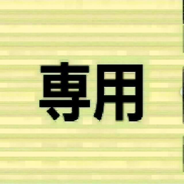 専用その他