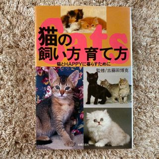 猫の飼い方育て方 猫とｈａｐｐｙに暮らすために(住まい/暮らし/子育て)