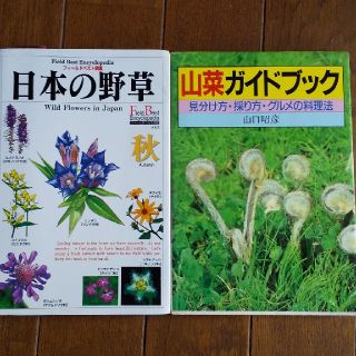 日本の野草 秋 山菜 ガイドブック(語学/参考書)