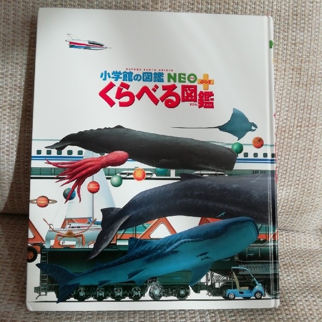 小学館(ショウガクカン)のくらべる図鑑 エンタメ/ホビーの本(絵本/児童書)の商品写真