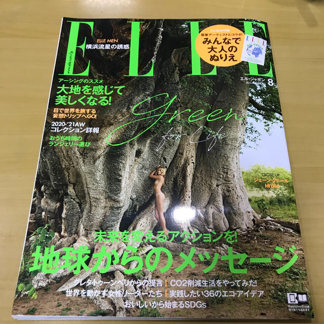 ELLE(エル)のELLE JAPON (エル・ジャポン) 2020年 08月号 エンタメ/ホビーの雑誌(その他)の商品写真