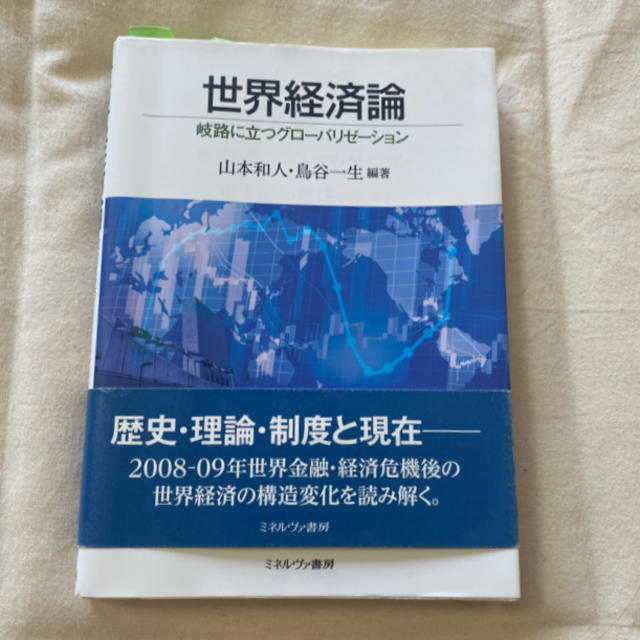 世界経済論 エンタメ/ホビーの本(ビジネス/経済)の商品写真