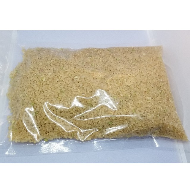 熊本県産 令和4年新米100% 発芽玄米 900g ヒノヒカリ れんげ米