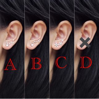 《C》韓国で大人気💗【S925】ジルコニア✧︎シルバー✧︎ピアス(ピアス)