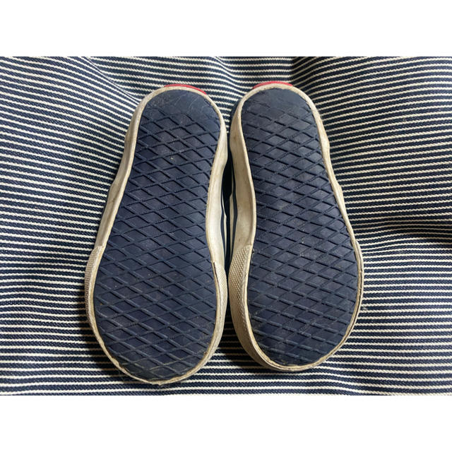 VANS(ヴァンズ)の専用　vans キッズ　ベビー　16センチ キッズ/ベビー/マタニティのキッズ靴/シューズ(15cm~)(スニーカー)の商品写真