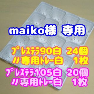 【スリット鉢】プレステラ105白20個＋専用システムトレー白1枚 他 多肉植物(プランター)