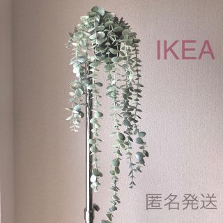 イケア(IKEA)の【新品】IKEA フェイクグリーン（ユーカリ）(その他)