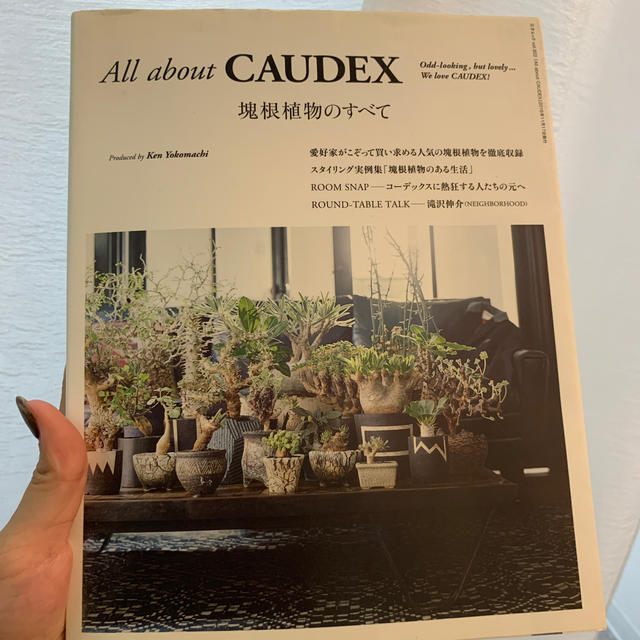 Ａｌｌ　ａｂｏｕｔ　ＣＡＵＤＥＸ 塊根植物のすべて エンタメ/ホビーの本(趣味/スポーツ/実用)の商品写真