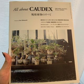 Ａｌｌ　ａｂｏｕｔ　ＣＡＵＤＥＸ 塊根植物のすべて(趣味/スポーツ/実用)