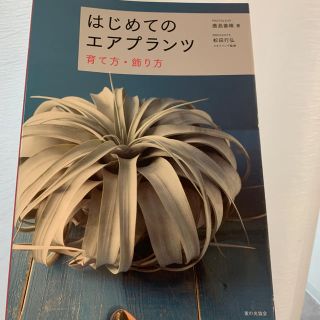 はじめてのエアプランツ育て方・飾り方(趣味/スポーツ/実用)