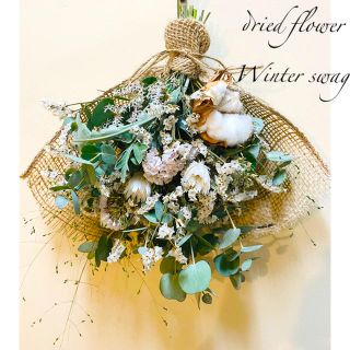 ドライフラワー フレッシュ ユーカリ Winter White スワッグ(ドライフラワー)