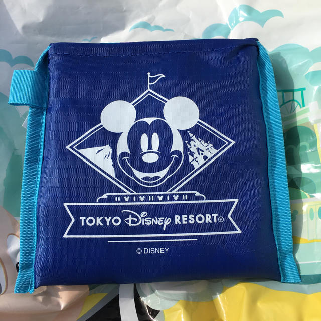 Disney(ディズニー)のディズニー　エコバッグ　ショッピングバッグ エンタメ/ホビーのおもちゃ/ぬいぐるみ(キャラクターグッズ)の商品写真