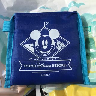 ディズニー(Disney)のディズニー　エコバッグ　ショッピングバッグ　お買い物袋(キャラクターグッズ)