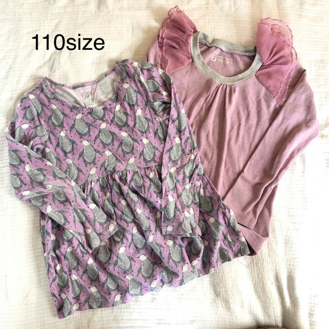 babyGAP(ベビーギャップ)のトップス2枚セット★110★女の子向き キッズ/ベビー/マタニティのキッズ服女の子用(90cm~)(Tシャツ/カットソー)の商品写真