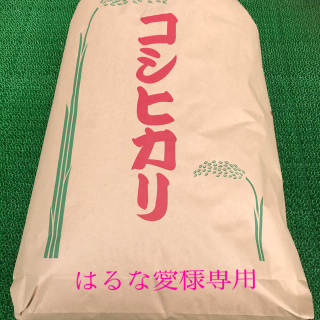コシヒカリ令和元年産　栃木県産コシヒカリ玄米30キロ