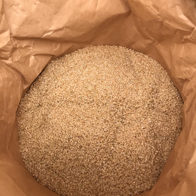 令和元年産 栃木県産コシヒカリ玄米30キロ 1