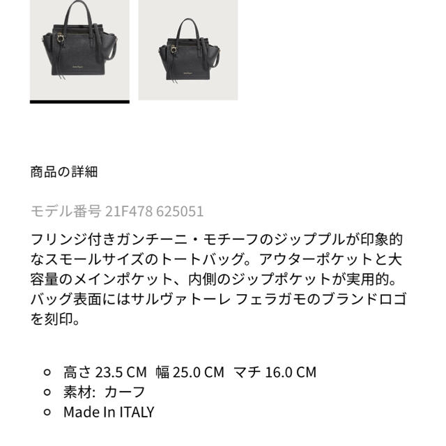 新品未使用‼️ferragamo  bag!バッグ