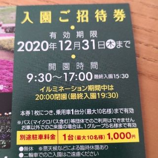 はるまま様専用！東京ドイツ村入園ご招待券　１枚(遊園地/テーマパーク)