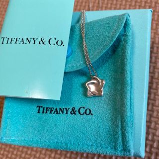 ティファニー(Tiffany & Co.)のティファニー　ネックレス　未使用(ネックレス)