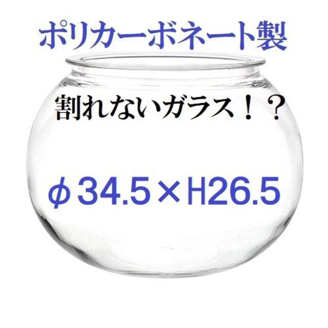 φ34.5×H26.5　球形　ポリカーボネート製　アクアリウム　コケリウム