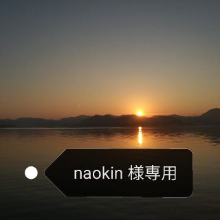 グライ(Gray)のnaokin 様専用ページです。スノーボード　(ボード)