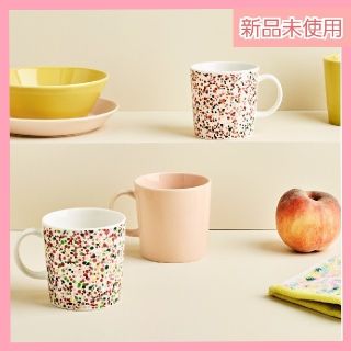 イッタラ(iittala)のk様専用テラコッタ　2個セット　限定生産　新品(グラス/カップ)