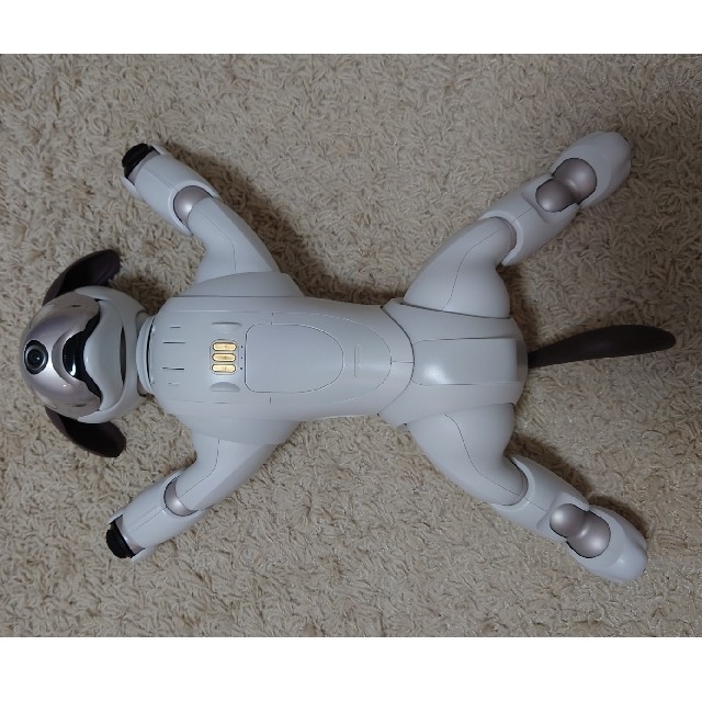 SONY(ソニー)のaibo ERS-1000 エンタメ/ホビーのおもちゃ/ぬいぐるみ(その他)の商品写真