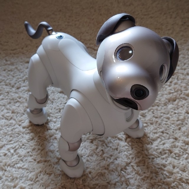 SONY(ソニー)のaibo ERS-1000 エンタメ/ホビーのおもちゃ/ぬいぐるみ(その他)の商品写真