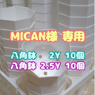 プラ八角鉢 カネヤ【2.5Y】10個+【2Y】10個 多肉植物(プランター)