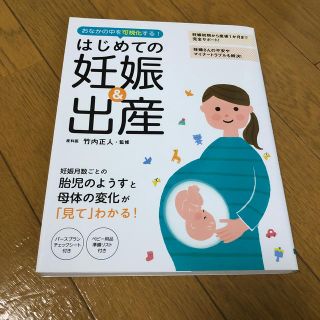 「おなかの中を可視化する！はじめての妊娠＆出産」(結婚/出産/子育て)