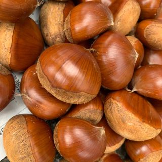 岡山県産！生栗🌰採れたて！すぐ使えます！1.5kg(野菜)