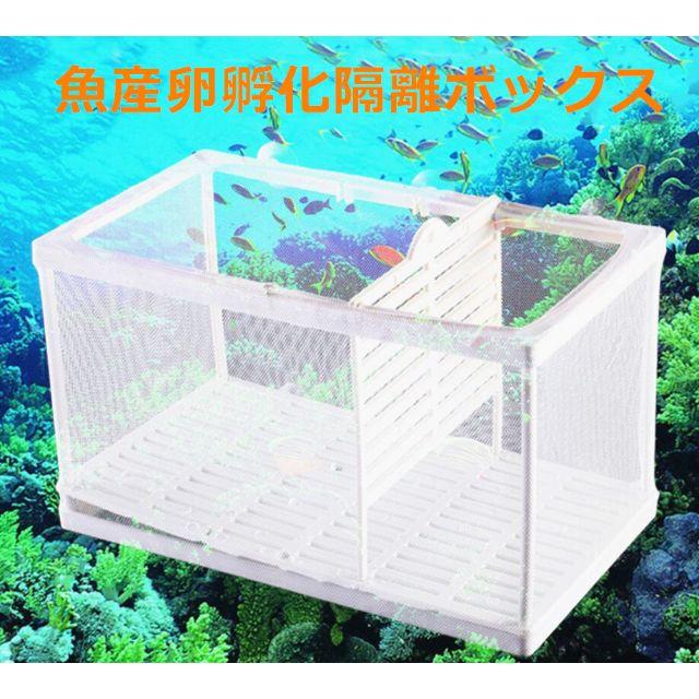 水族館繁殖箱lサイズダブルグッピー 孵化インキュベーター 隔離ボックス産卵箱の通販 By プロフ必読でね きゅうきゅう ラクマ 水族館繁殖箱lサイズダブルグッピー 孵化インキュベーター 隔離ボックス産卵箱の通販 By プロフ必読でね きゅうきゅう ラクマ